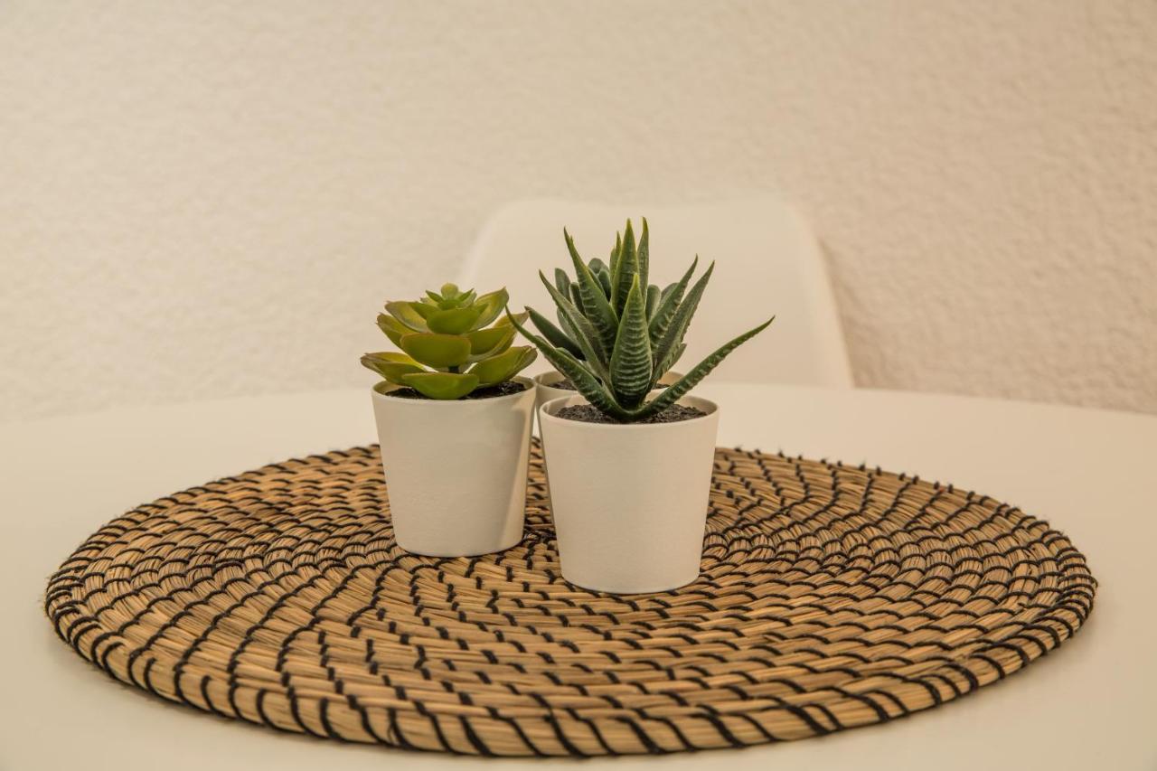 Del Mar Luxury Apartment 30M From The Beach Pórto Ráfti 外观 照片